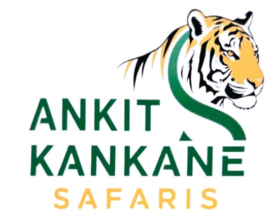 Ankit Kankane Safaris logo