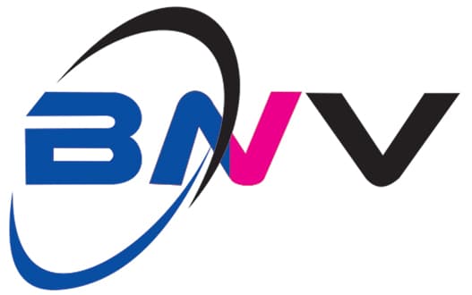 BNV Group logo